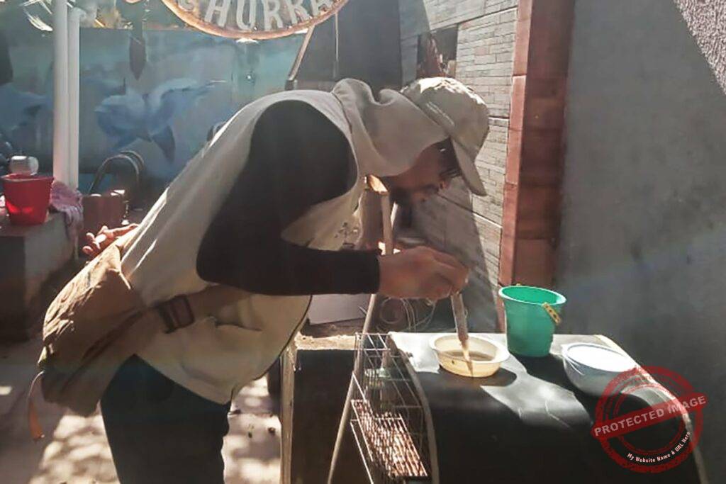 Notícia Secundária 2