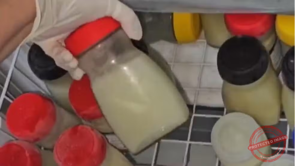 Notícia Secundária 1