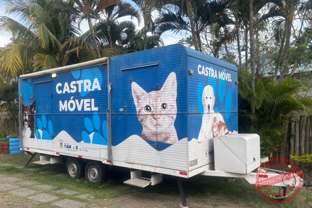 Notícia Secundária 2